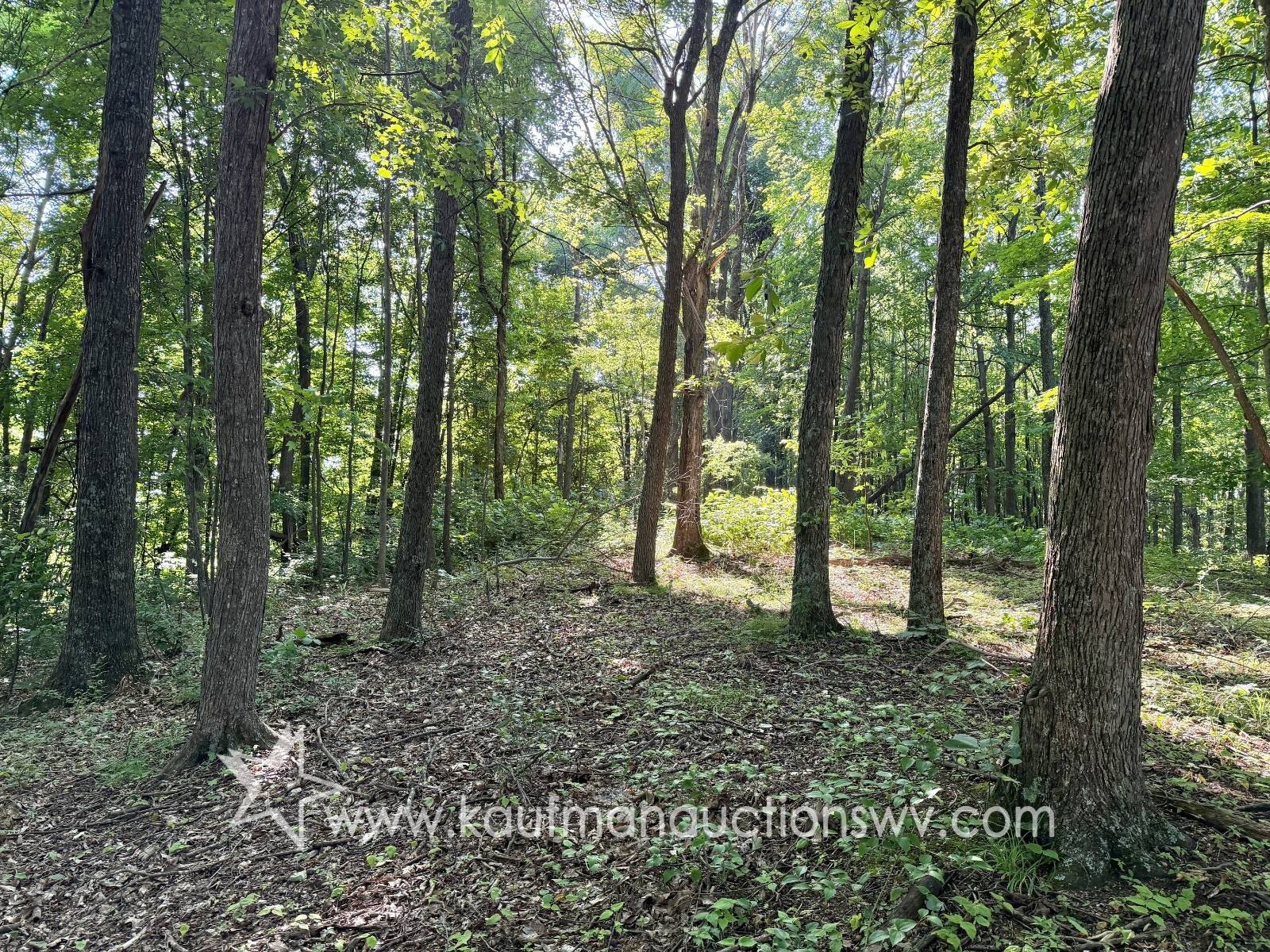 Other - County Road 12-2, Gassaway, WV