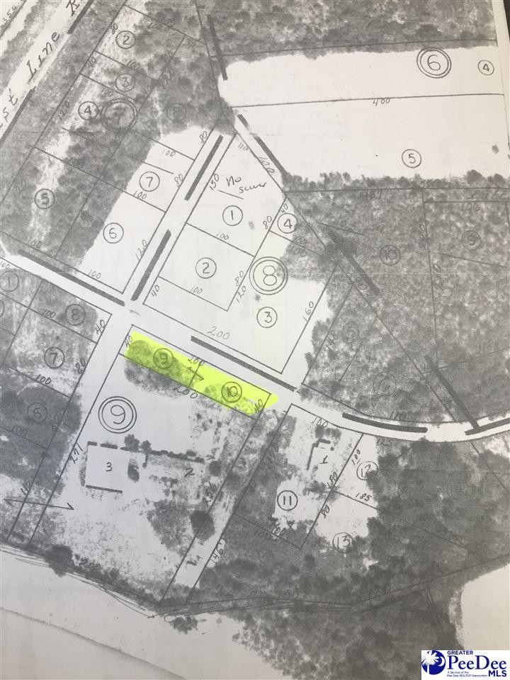 Other - Lot 48 & 55 Willis Street, Latta, SC