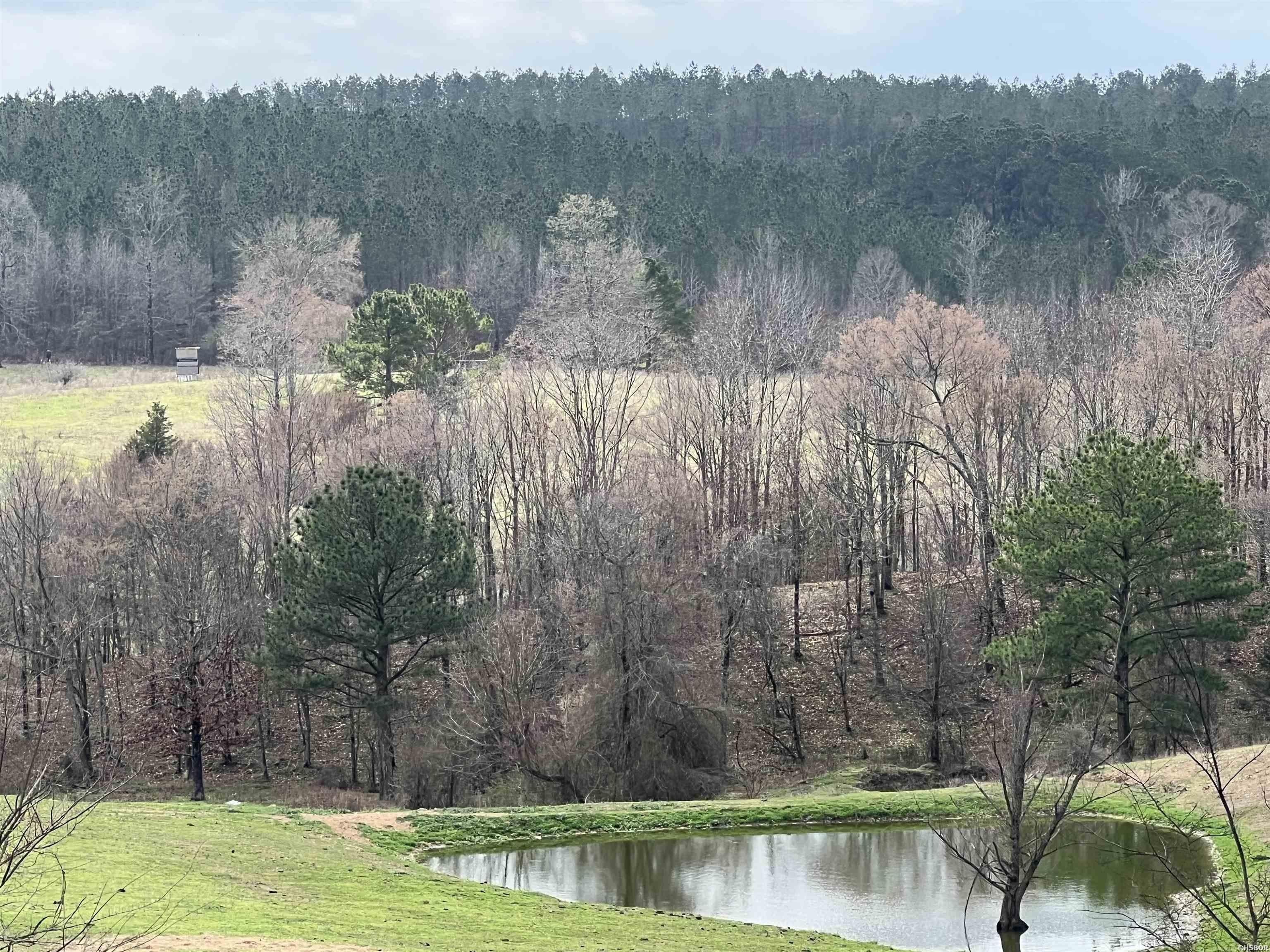 Other - SHAWN, Newhope, AR