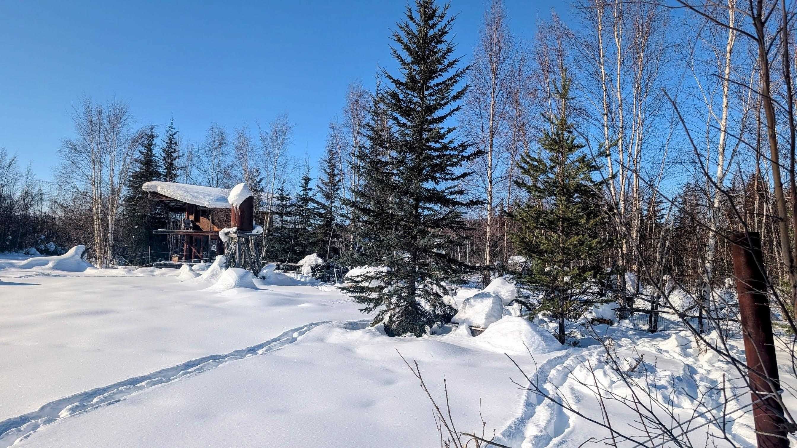 Single Family 2BR - 999 MAURA STREET, Fairbanks, AK
