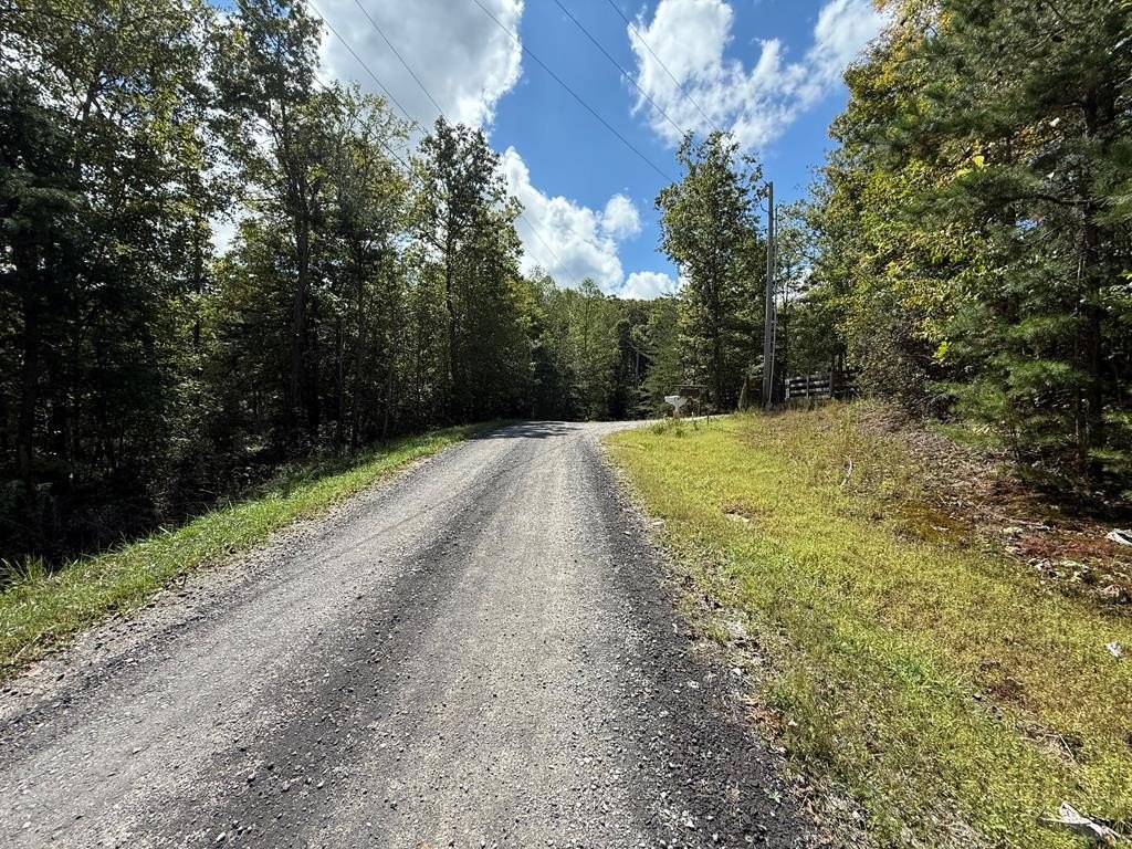Other - Northwood Place lot: 113, Jamestown, TN