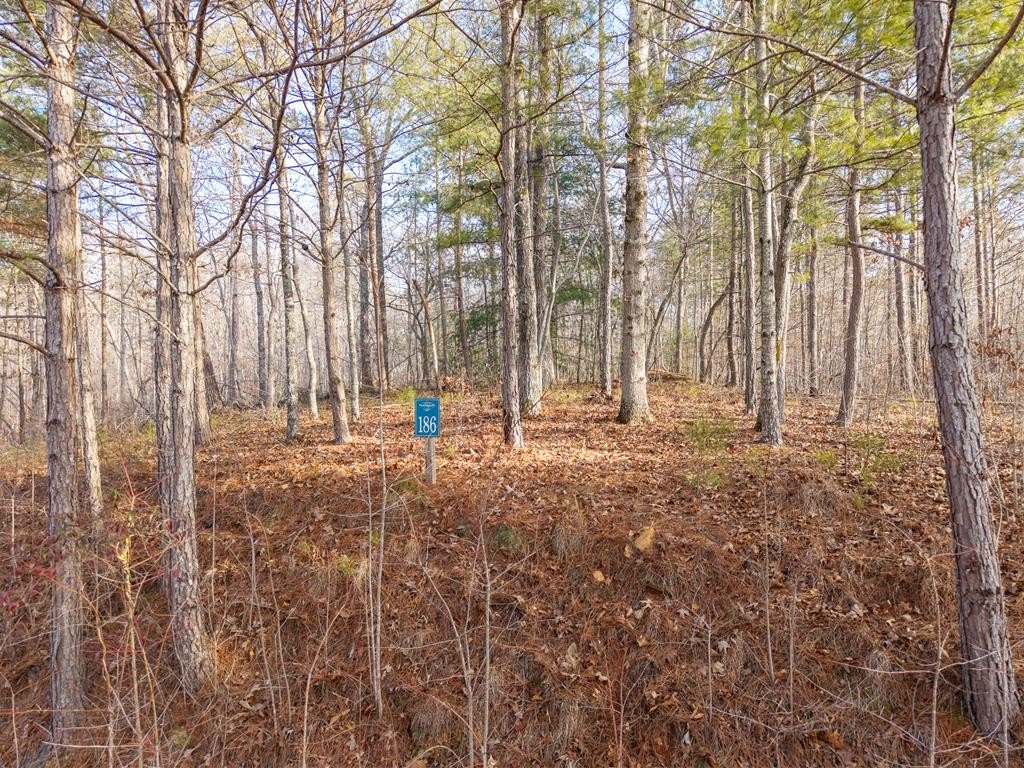 Other - Lt 186 Harris Ridge Lane, Ellijay, GA