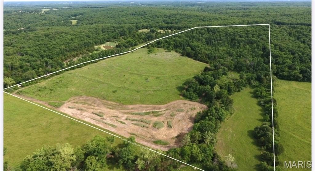 Plots and Land - Tbd Van Horn Road, Bland, MO