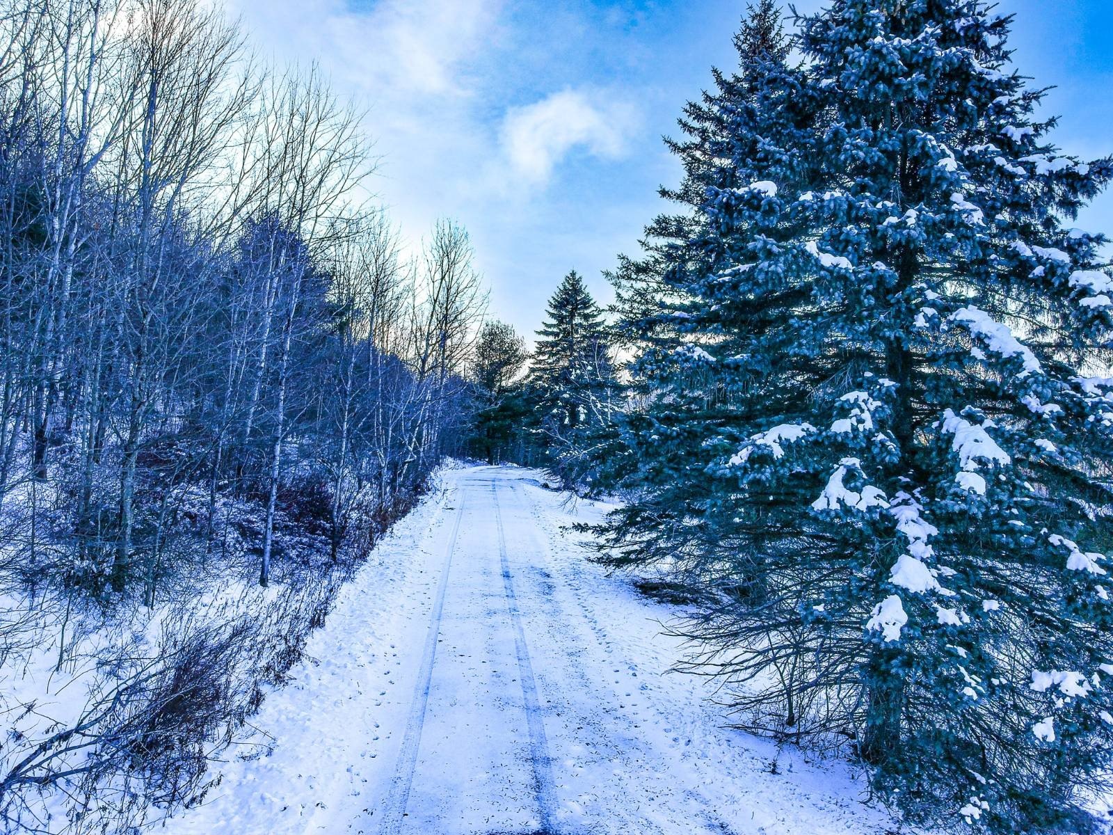 Other - L44.10 Panarama Ln, Windham, NY