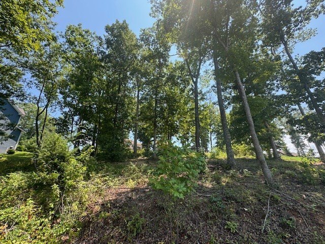 Other - Lot 5 Hunter Lane, Blairsville, GA