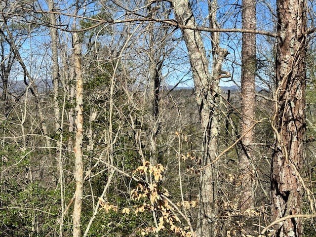 Other - Lot 1198 Lancer Court, Ellijay, GA