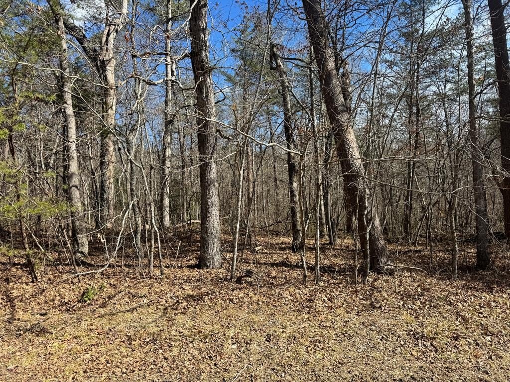 Other - Cumberland Lakes Drive lot: 7, Monterey, TN