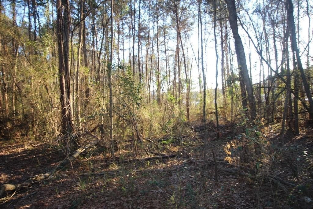 Other - 1524 Parker Dr, Laurel, MS
