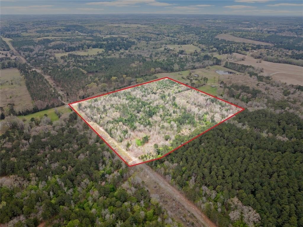Plots and Land - Tbd CR 2920, Hughes Springs, TX