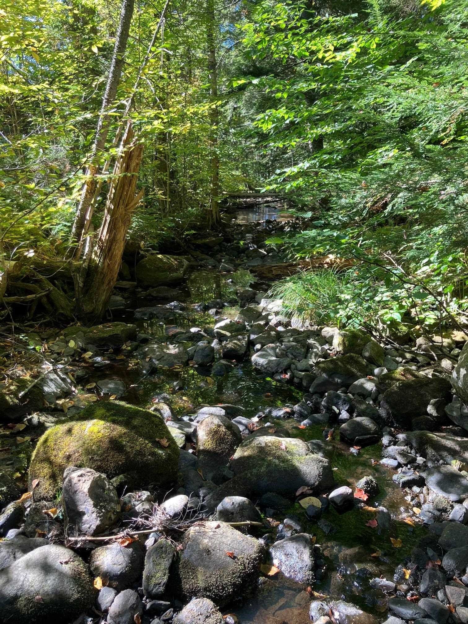 Other - 0 Theresa Lane, Wilmington, VT
