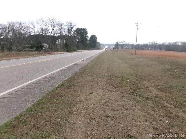 Single Family - 8995 Montgomery  Highway, Luverne, AL