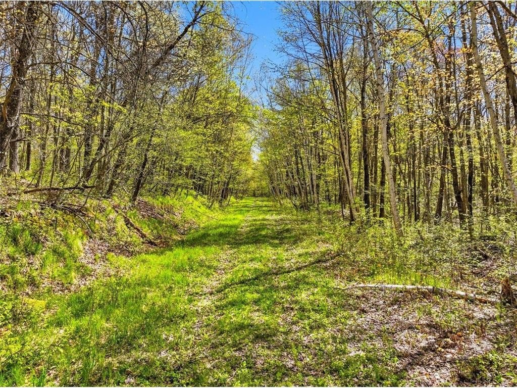 Other - W6474 River Road, Trego, WI