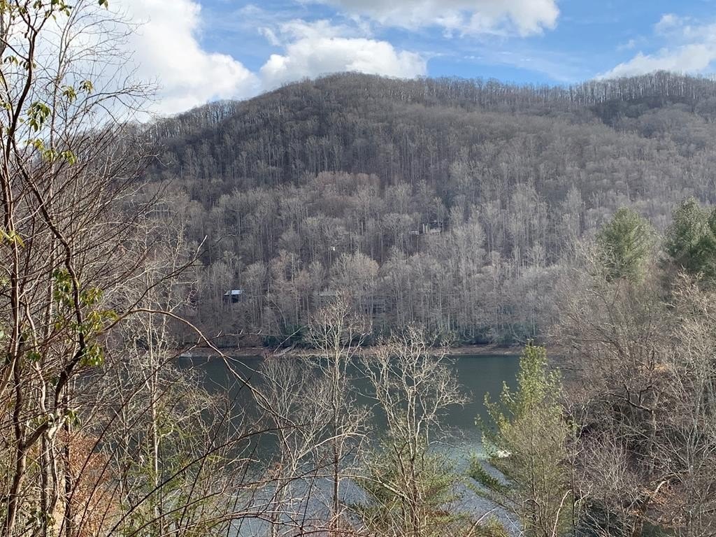 Other - LOT # 11 Forest Vista Lane, NANTAHALA, NC