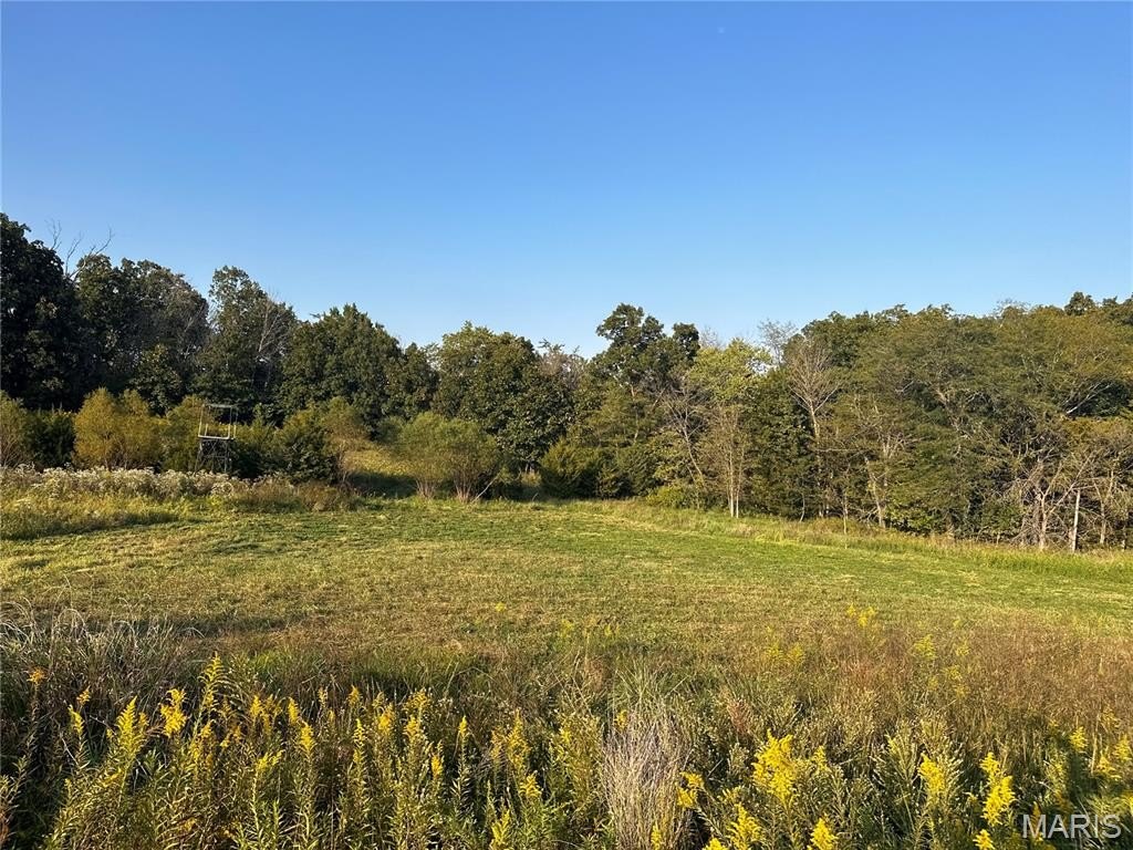 Plots and Land - 53424 Trabue Lane, Hannibal, MO