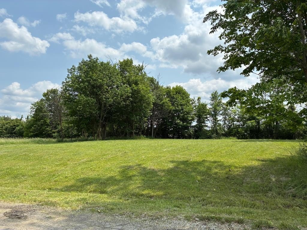Other - 7326 State Route 19, Unit 9, Lots 256-257, Mount Gilead, OH