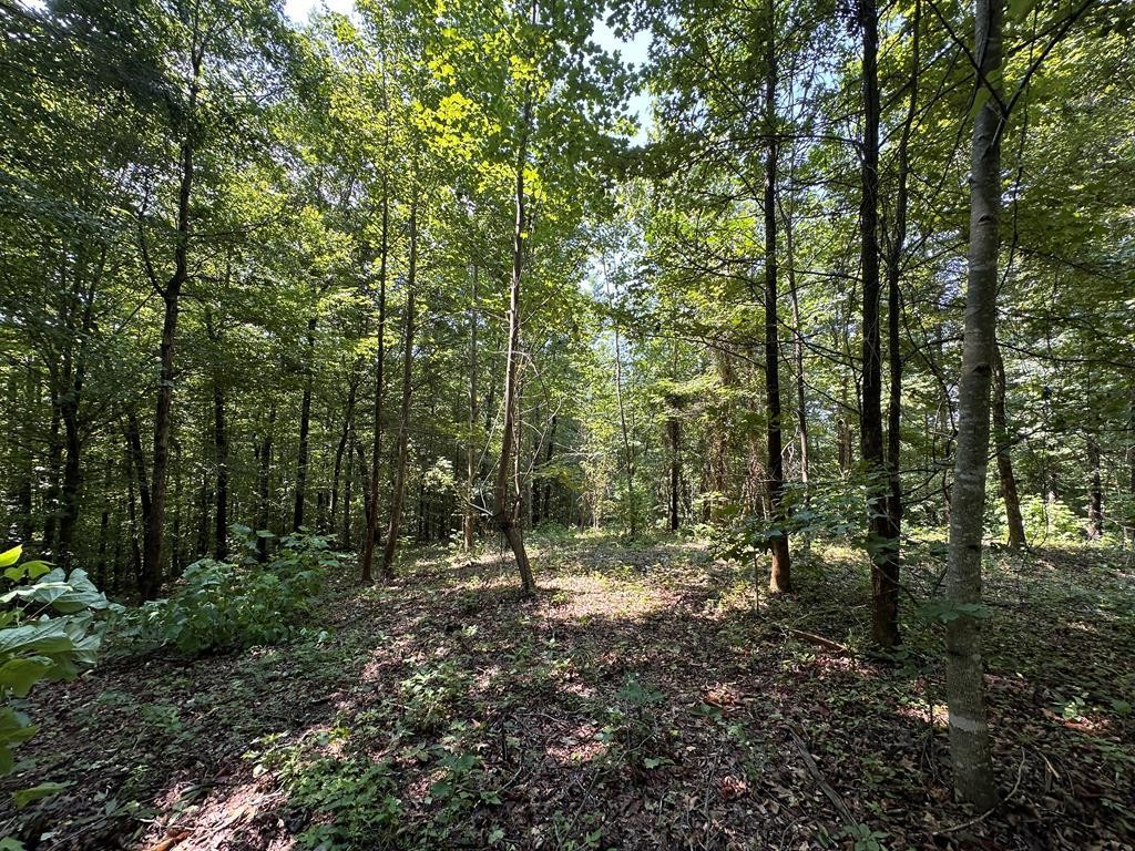 Other - 12.55ac Winningham Rd, Byrdstown, TN