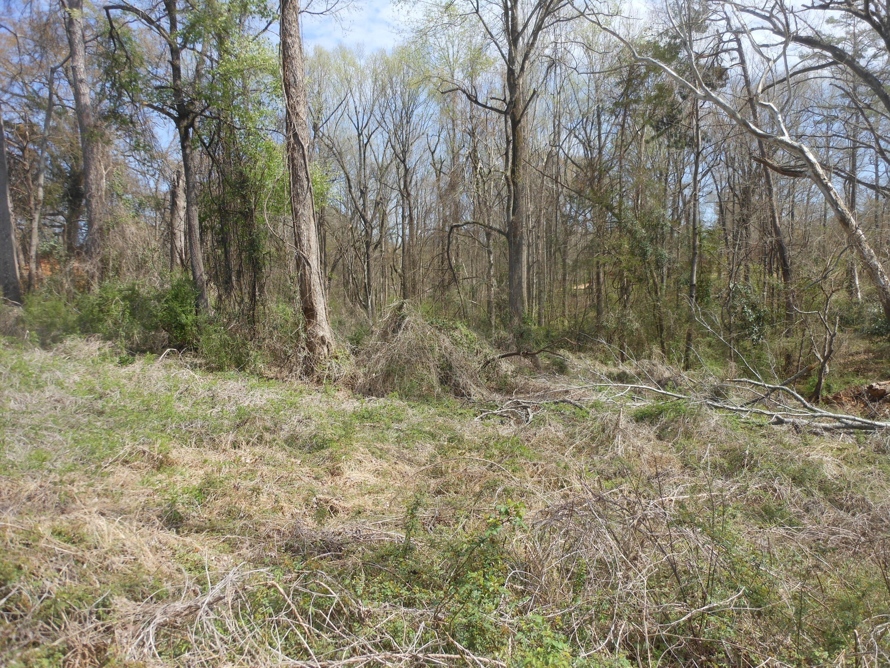 Single Family - 5487 Highway 9, Pontotoc, MS