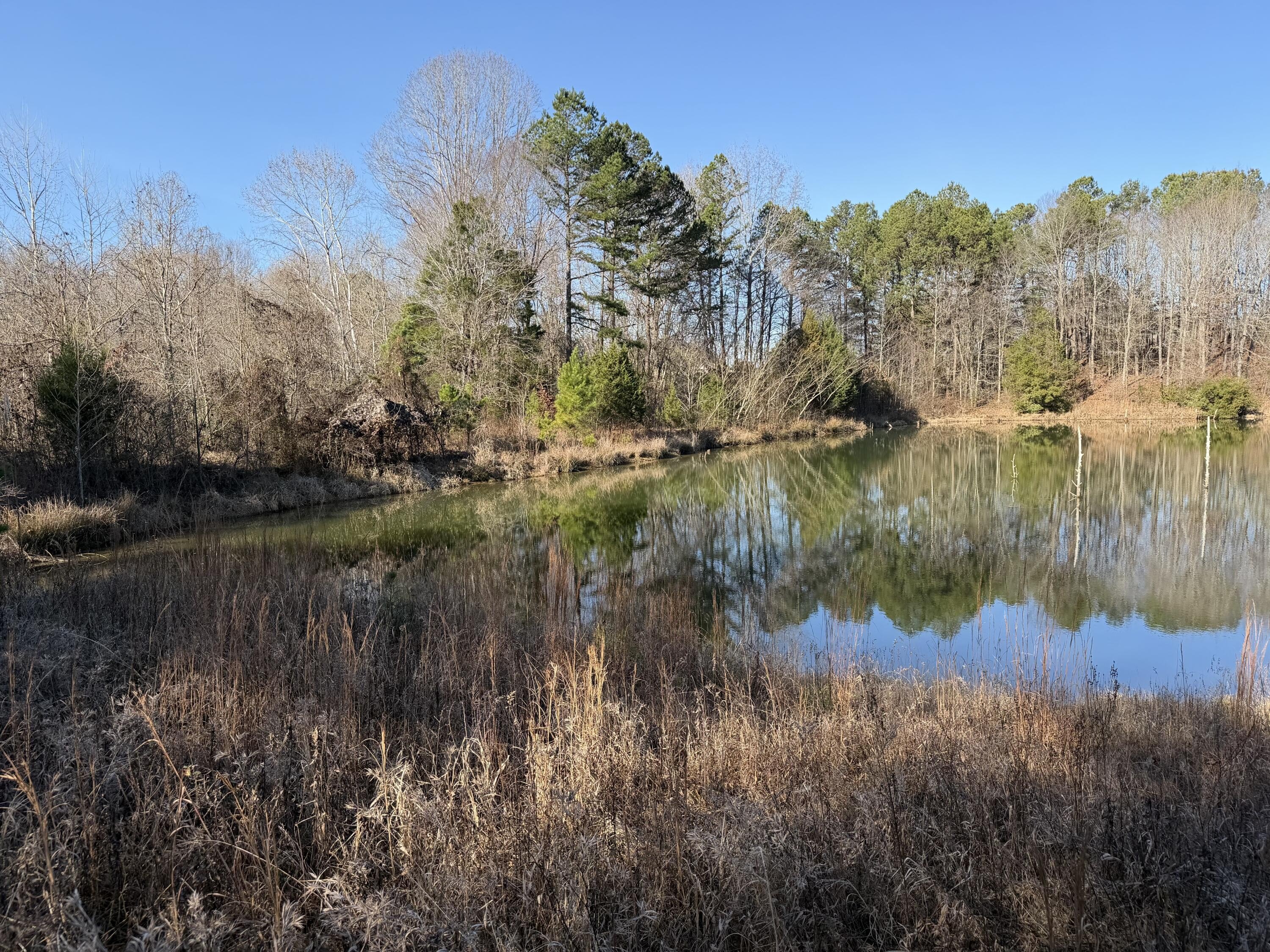 Single Family - Ashland Road, Ripley, MS