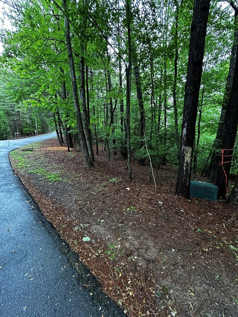 Other - Lazy River Lane, Ellijay, GA