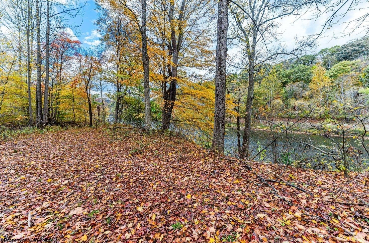 Plots and Land - TBD Bortz Mine Road, Point Marion, PA