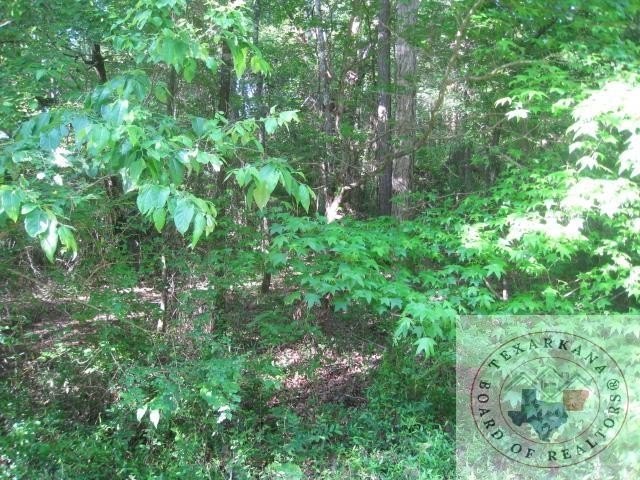 Other - Turk Road, Texarkana, AR