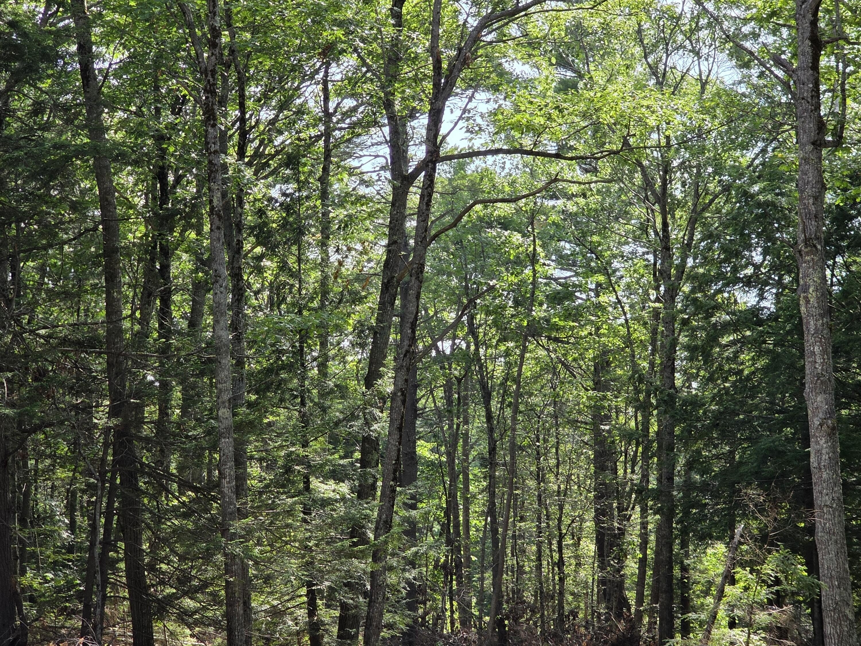 Other - Pinnacle Road, Liberty, ME