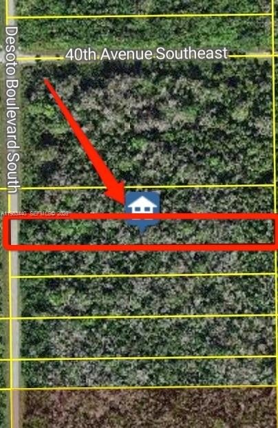 Other - 00 NE De Soto boulevard south, Naples, FL