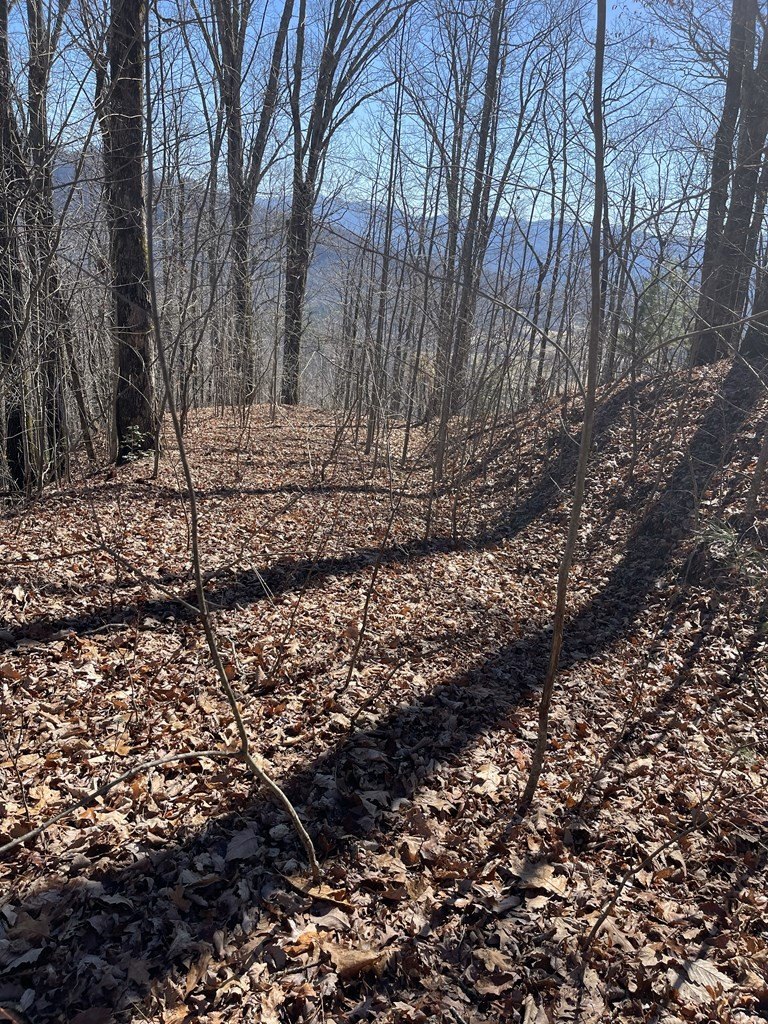 Other - Lot 68J Grandview Dr., HAYESVILLE, NC