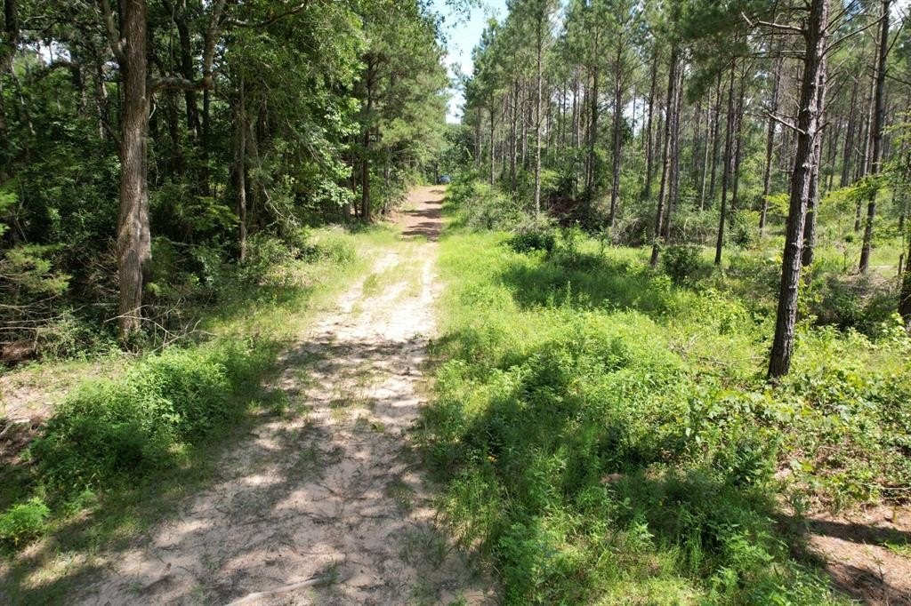 Plots and Land - Tbd County Road 3706, Tenaha, TX