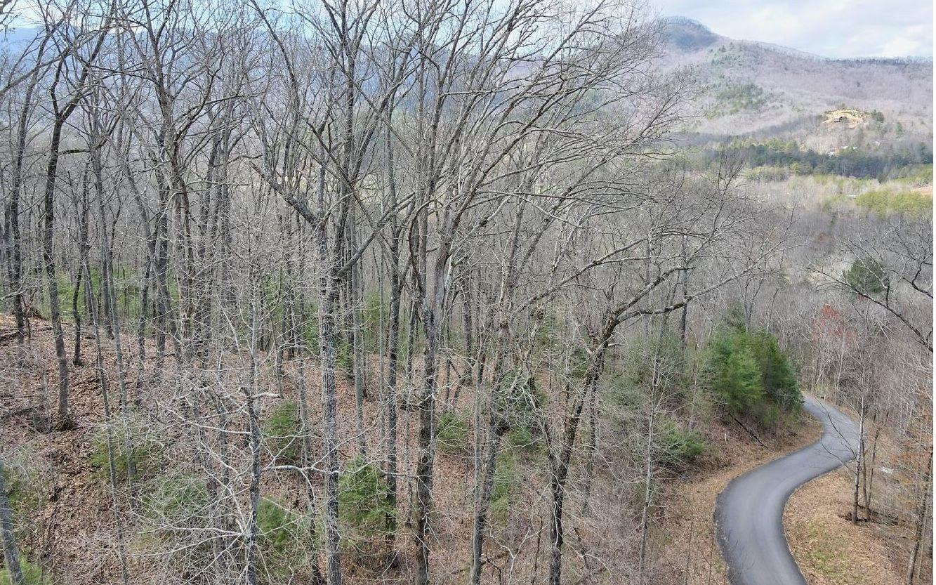 Other - Lt17 Mill Ridge Road, Hiawassee, GA