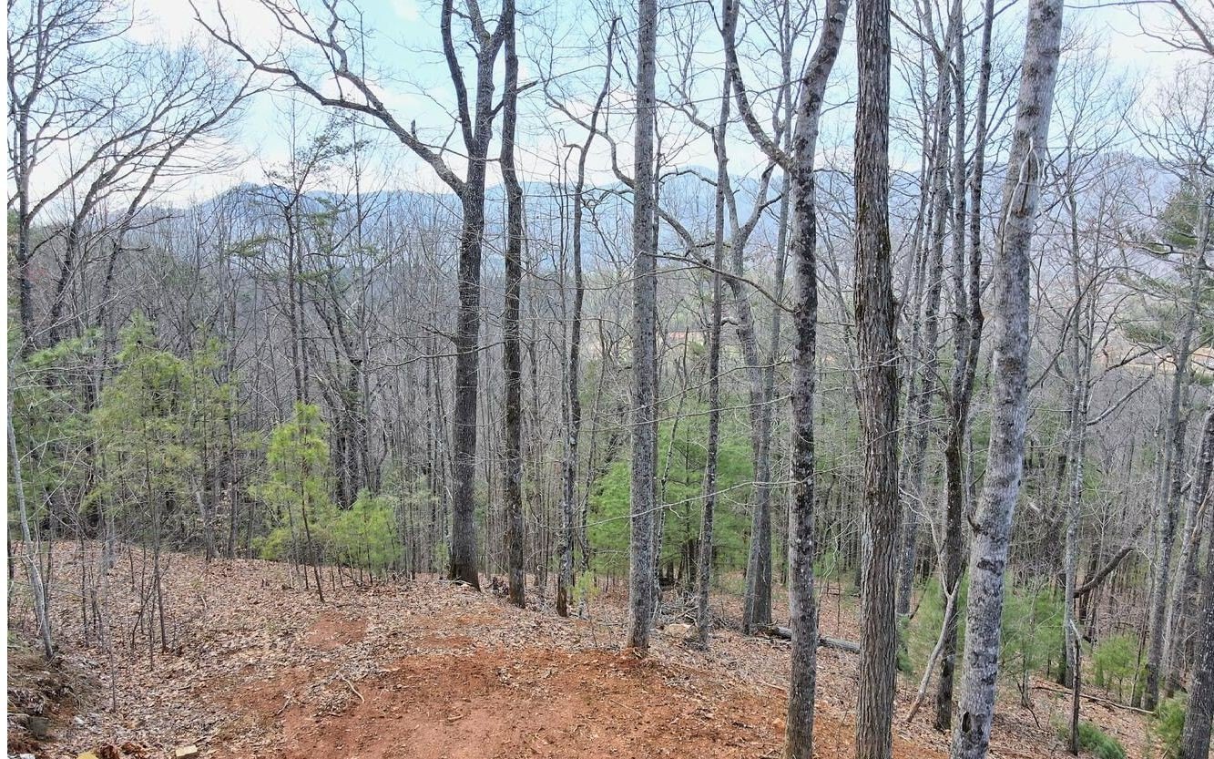 Other - LT17 Mill Ridge Road, Hiawassee, GA