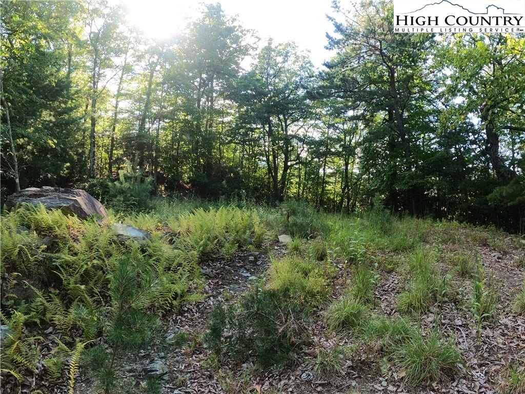 Other - Sunrise Valley Drive lot: 60, Boone, NC
