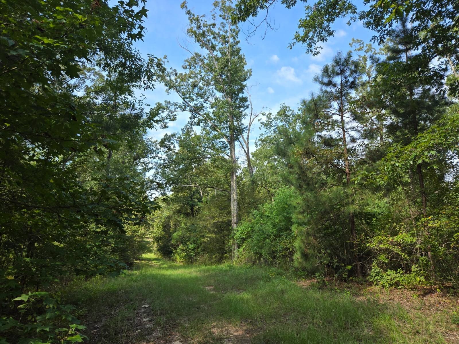 Other - Leckie Rd. lot: C, Eros, LA