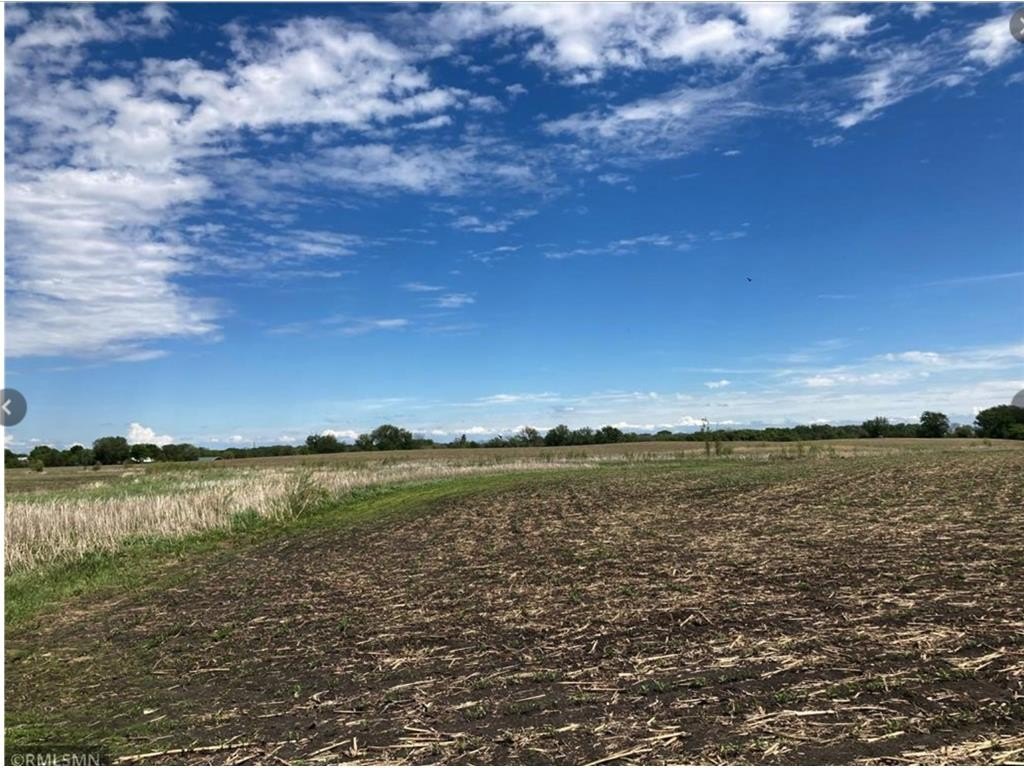 Other - xxx Lot 3 Division Street W, Brownton, MN