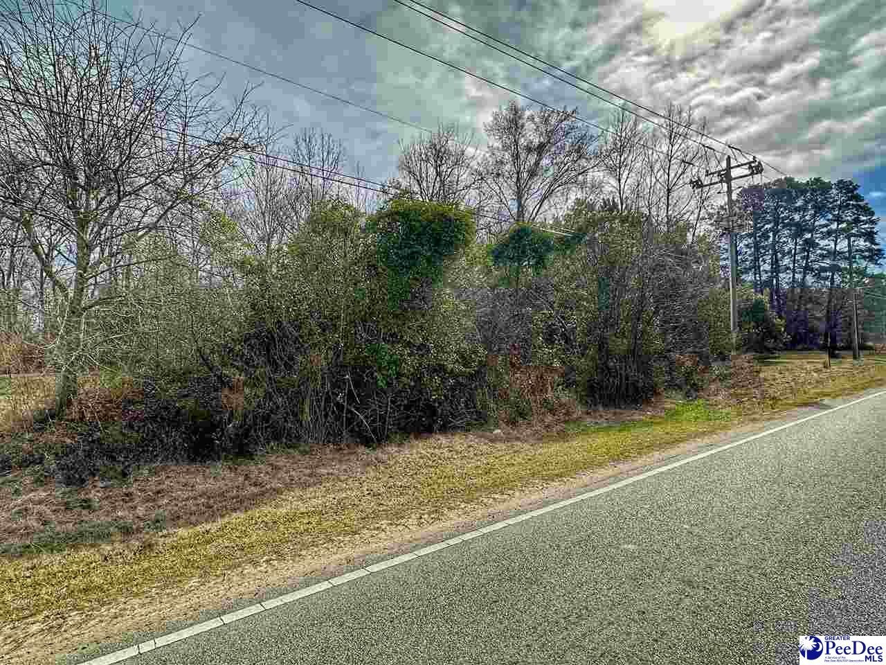 Other - W Main Street lot: 3, Dillon, SC