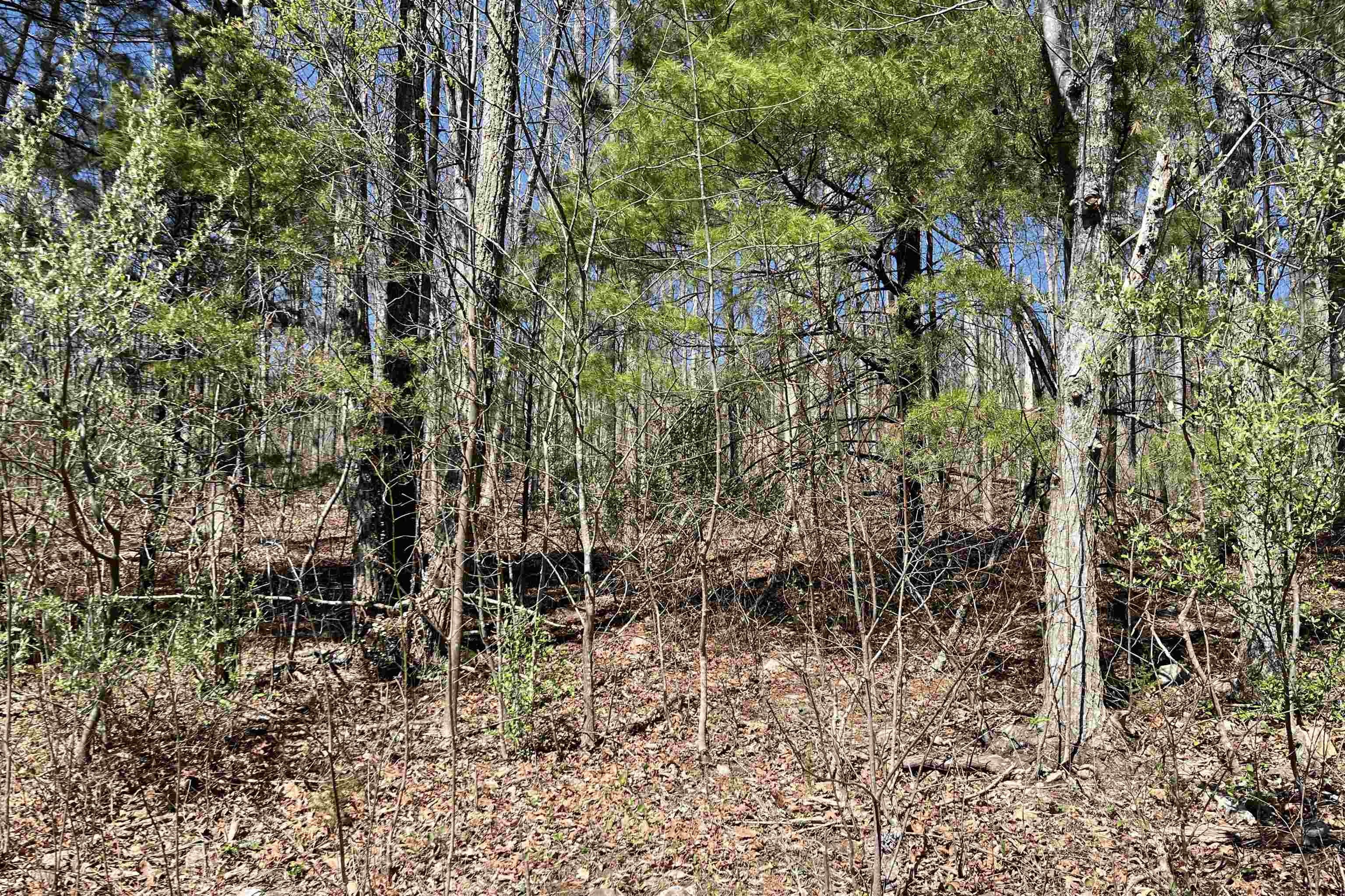 Other - Lot 6 MORELAND GAP RD, NEW MARKET, VA