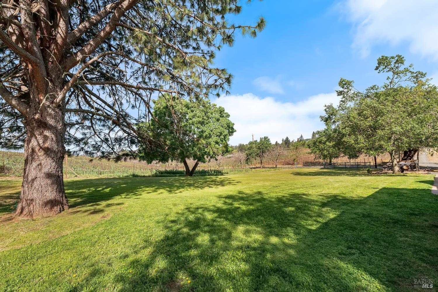 Single Family 3BR 2BA - 539 Keyes Avenue, Angwin, CA