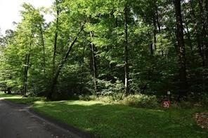 Other - Grouse Point lot: # 30, Champion, PA