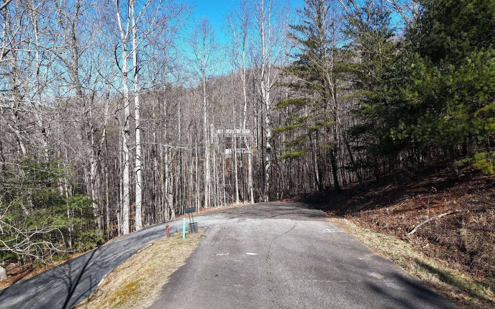 Other - Lot37 Mountain Valley Lane, Blairsville, GA