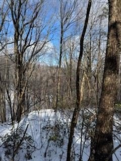 Other - 18n Bear Paw Road, Jasper, GA