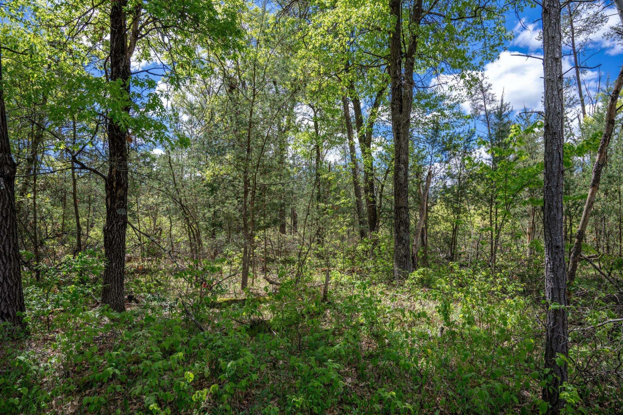 Other - Beach Drive lot: 29, New Lisbon, WI