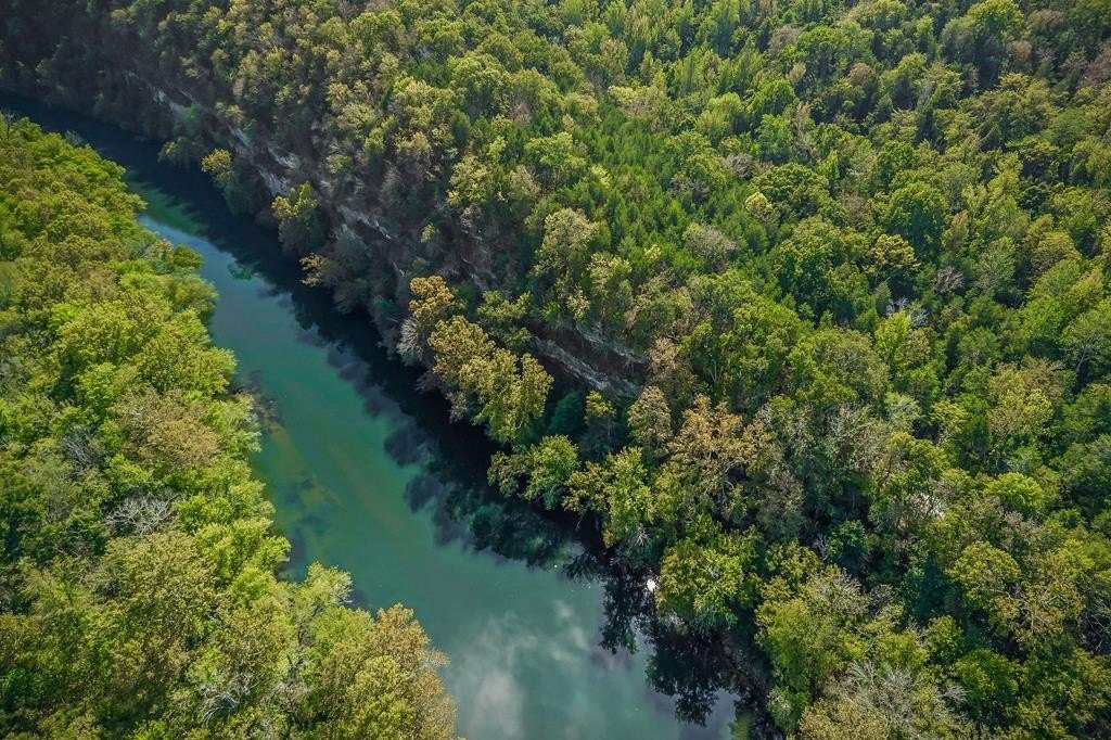 Other - 43 Moss Bend Ln, Lancaster, TN