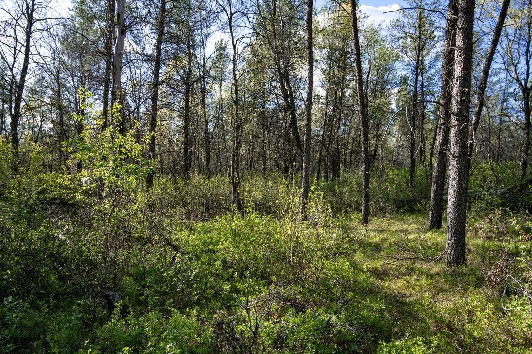 Other - 2 Ac 25th St E, Necedah, WI