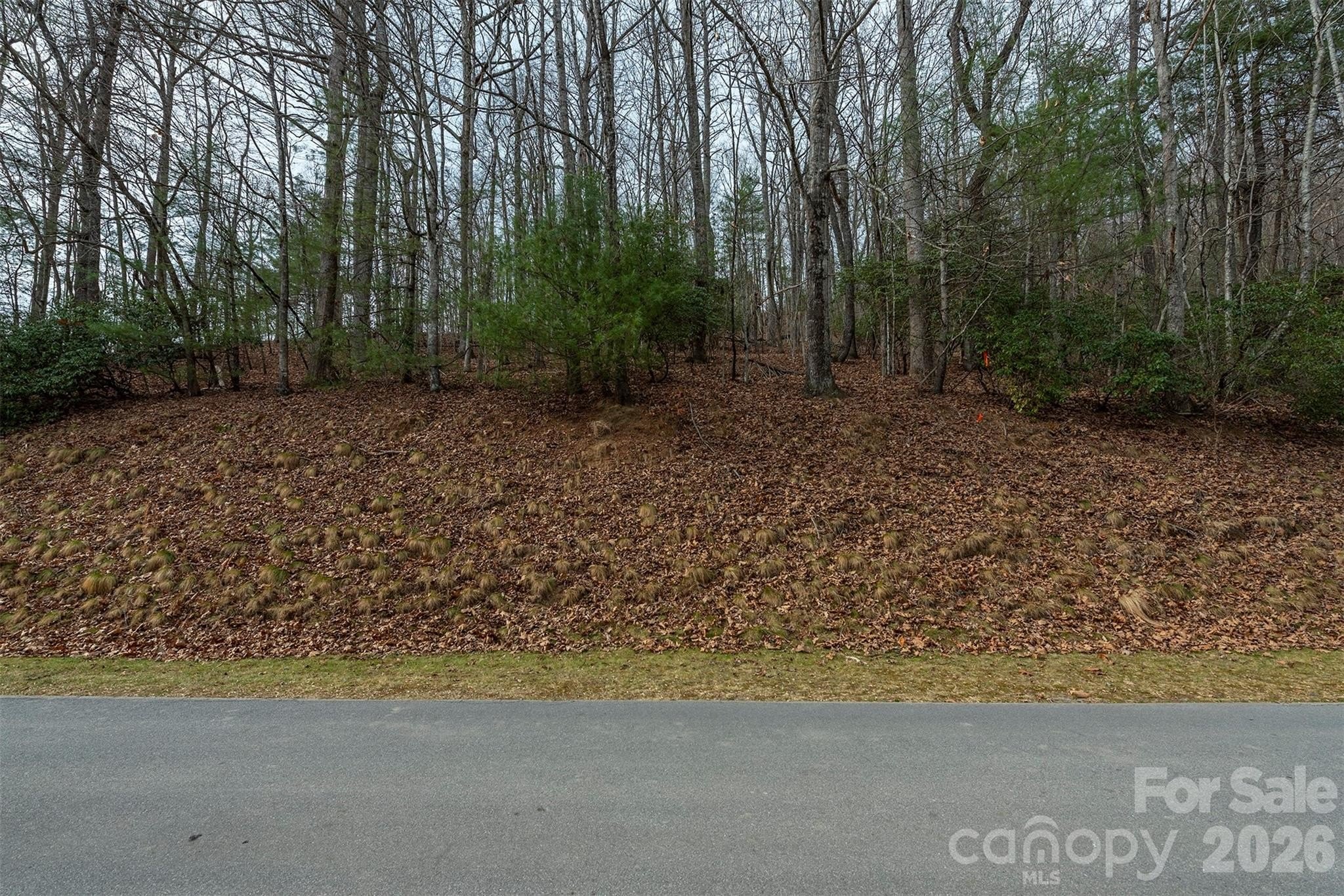 Other - 24 Falls Lane 391, Hendersonville, NC