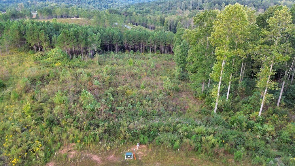Other - 271 Highgrove Drive, Talking Rock, GA