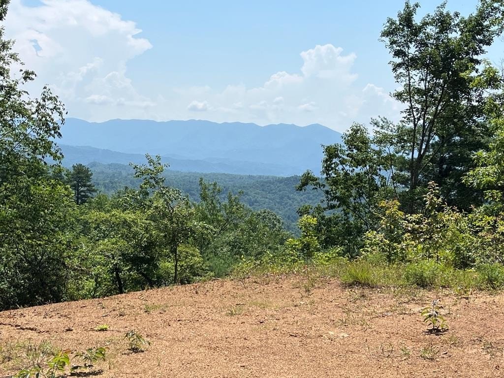 Other - 501 Clifftop Trail, ANDREWS, NC