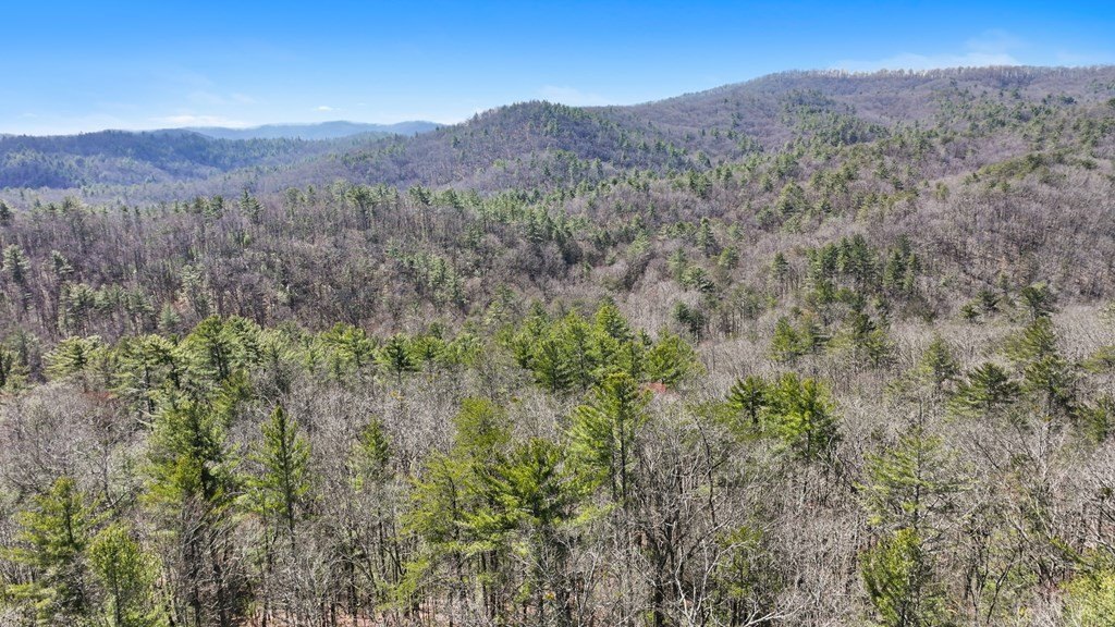 Other - 11.1 Ac. Stevens Ridge Road lot: 2A, Ellijay, GA