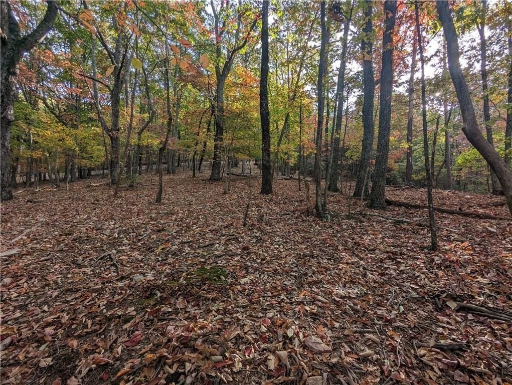 Other - 0 Oglethorpe Mountain Road, Jasper, GA