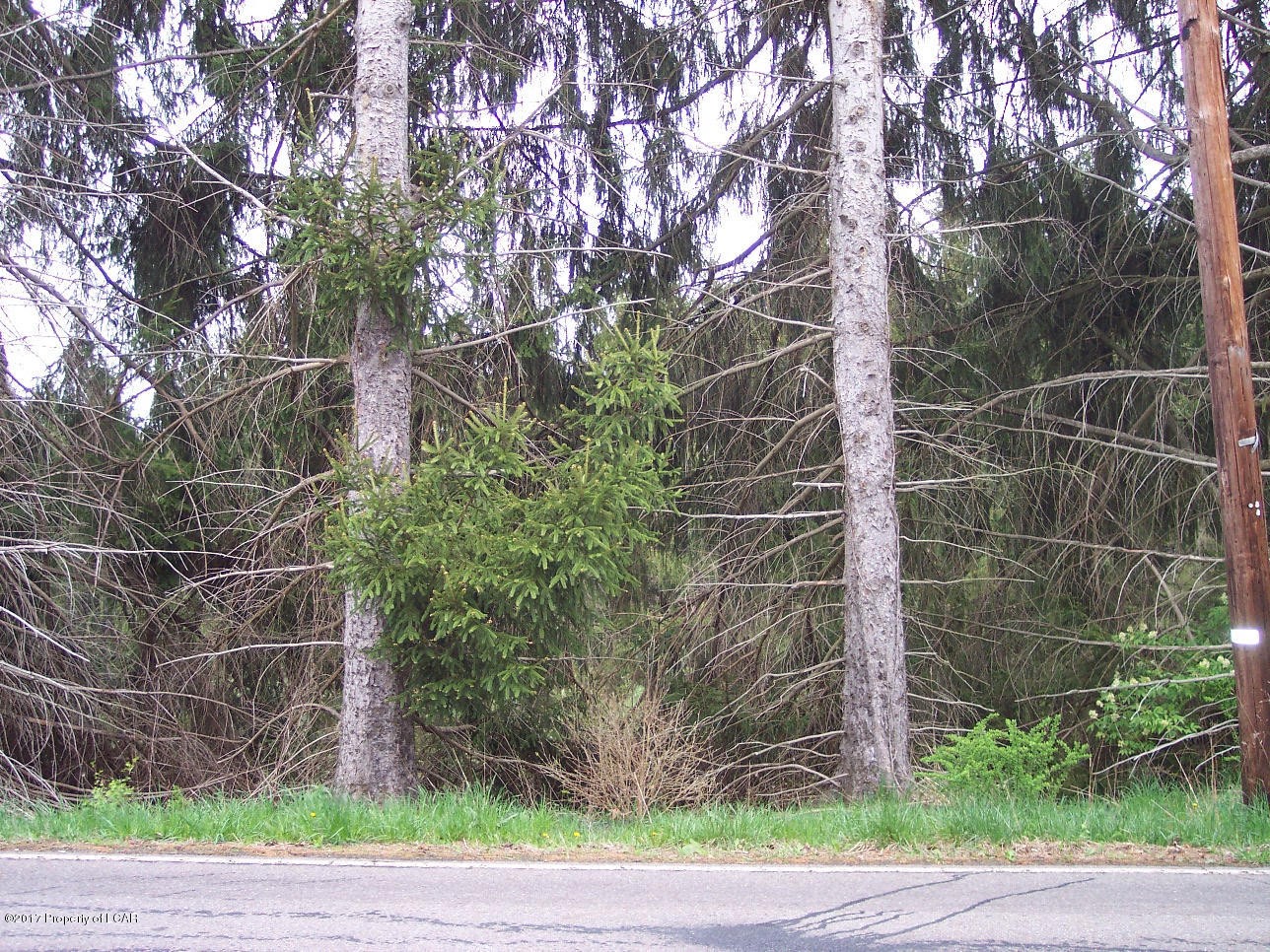 Other - Lot # 3 Pioneer Avenue, Shavertown, PA