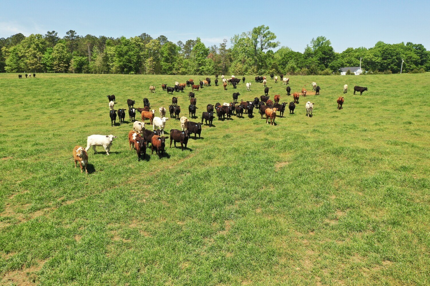 Other - Crawford Road, Due West, SC